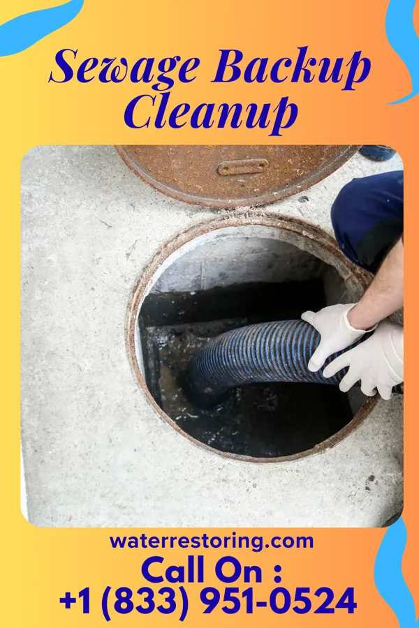 Sewage Backup Cleanup in Westlake, LA