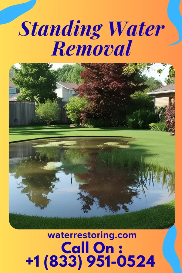 Standing Water Removal in Westlake, LA